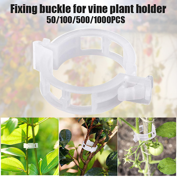 Genanvendelige plantesupport Haveklemmer til vinstokke Grøntsager Tomater Have drivhus 50stk 1000 pcs