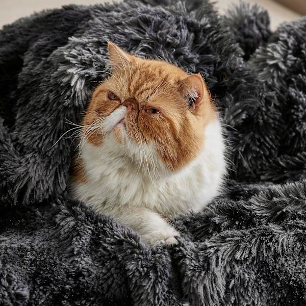 Mjuk och fluffig konstgjord pälsfilt grå - mysig fluffig plysch Sherpa fleecefilt lurvig lurvig filt för soffa säng soffa 50x60 tum 640 GSM