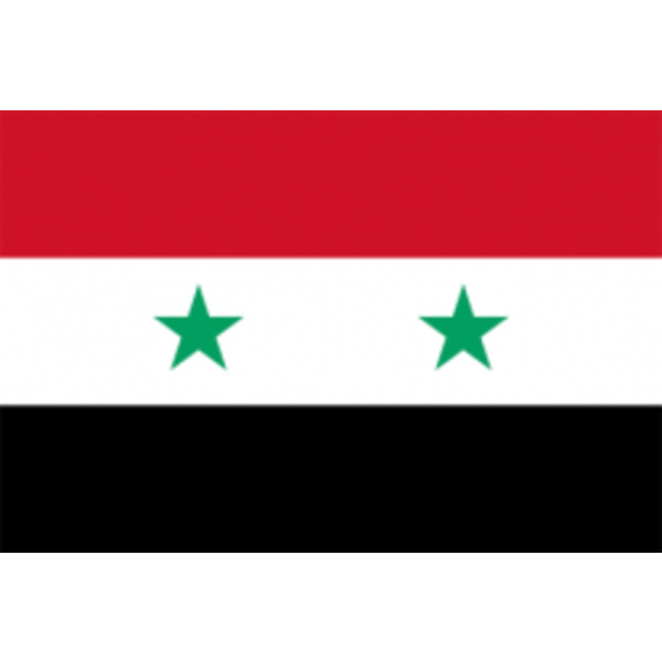 Flag - Syrien 100