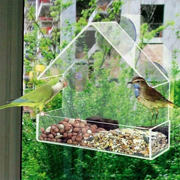 Fågelmatare Husform Vattentät Transparent sugkopp Ed