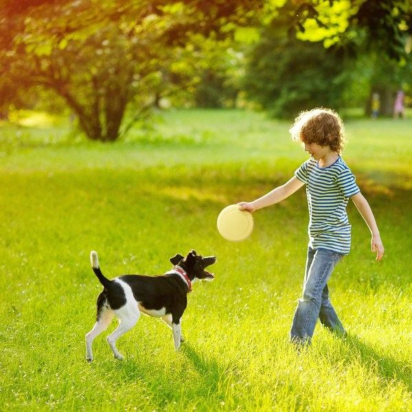 2-pack 9-tums frisbee för barn och vuxna utomhuslek - 3 olika färger, 23 cm