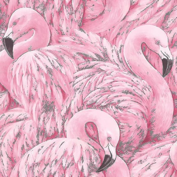 Flamingo tapet Pink Rasch 277890