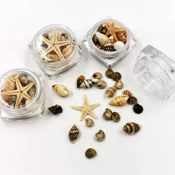 Assorterede Strandskaller Havstjerner Naturlige Store Skaller Til Skaller Havstjerner Farverige Hav Til Skaller Til Strandfest - Perfekt