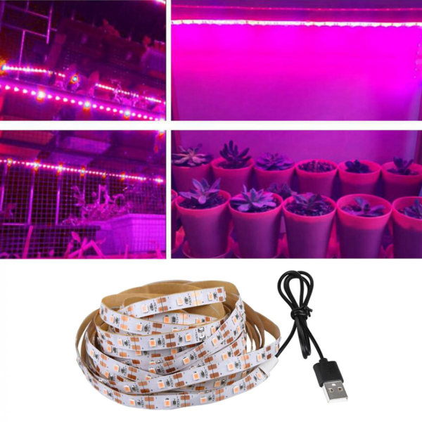 Fabrik 2835 SMD LED Grow Light Strip Växtlampa Växthus DC5V 0,5M