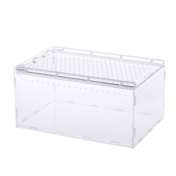 Akryl terrarium for reptiler, insekter, taranteller, snegler, edderkopper, mini-krypdyr, insektbærer