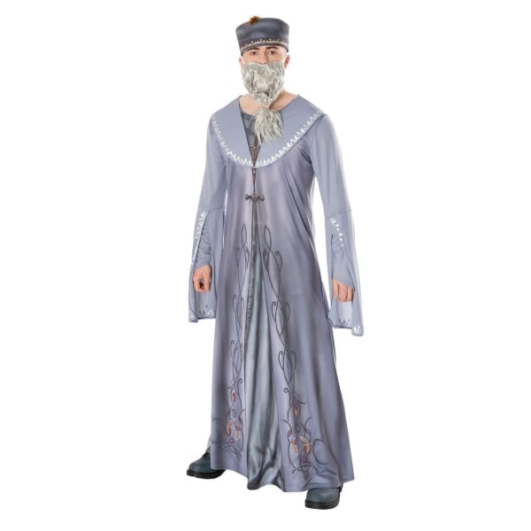 Harry Potter Unisex Aikuisen Dumbledore-asu XL Hopea XL-Xin