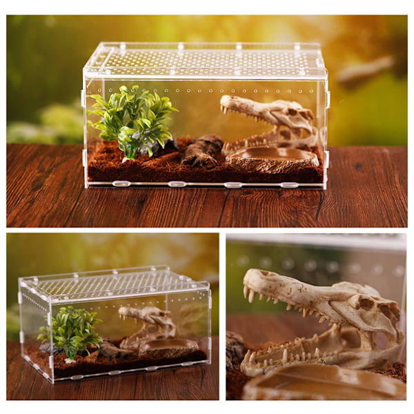 Akrylreptilterrarium Insekter Tarantlar Inhägnad Tankar Snigel Spindel Habitat Mini Critter Keeper Insektsbärare