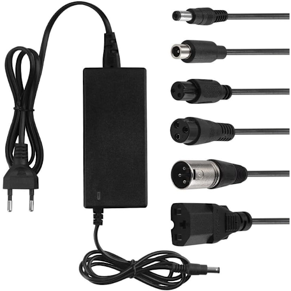 42V 2A batterilader DC5.5x2.5 hurtiglading universal for 36V litiumbatteri 100-240V EU - plugg