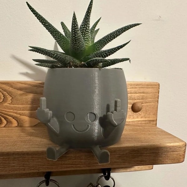 Smilende Plantepotte - Bedårende blomsterpotte med legende mellemfingerdesign - Unik plantepotte til sukkulenter - Holder små planter Grey