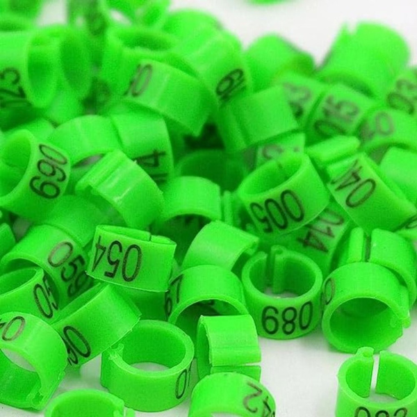 Due ringer til duer og fugler - flerfarget Multicolor