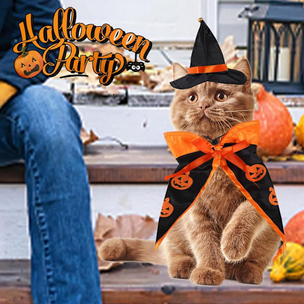 Halloween-kostym för husdjur - katt trollkarl kostym rolig trollkarl kattkläder, husdjur halloween kostymer med trollkarl hatt hund katt halloween kläder