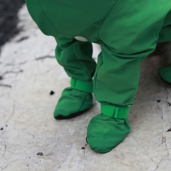 Koiran sadetakki koiran vaatteet VIHREÄ S Vihreä Green S