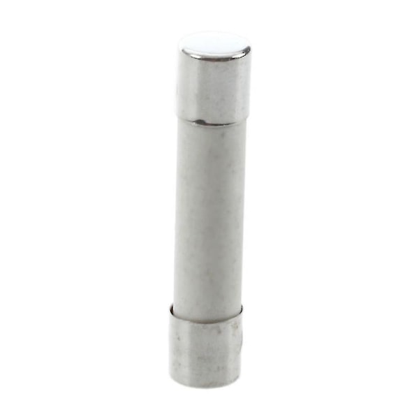 Black Friday 10 stk. Ac 250 V 15 A 6 X 30 Mm, Hurtig Cylindrisk Sikring Rør Keramisk Hvid + Sølv