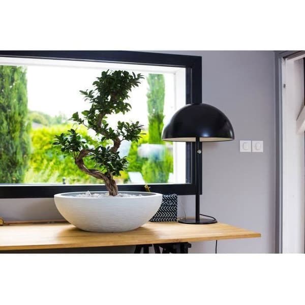 EDA Graphit servantpotte Ø59cm - Kapasitet 39L - Hvitkalket hvit