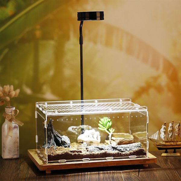 Akrylreptilterrarium Insekter Tarantlar Inhägnad Tankar Snigel Spindel Habitat Mini Critter Keeper Insektsbärare