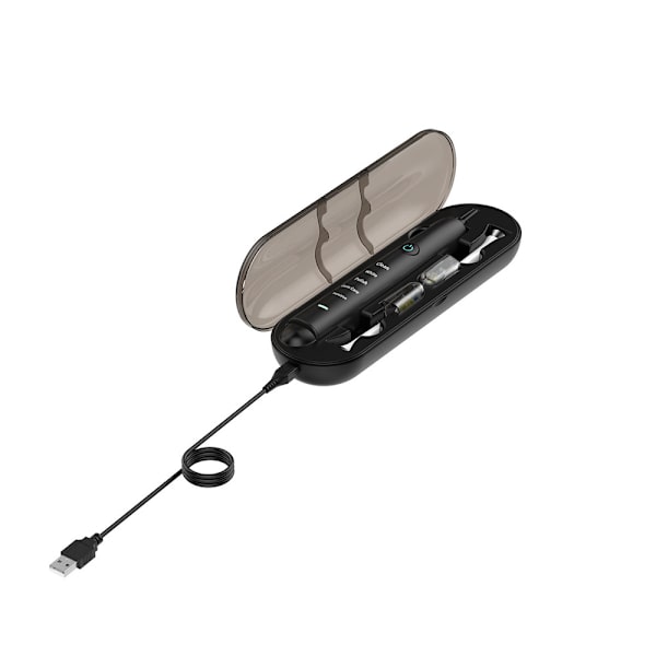 Sähköhammasharjan latauskotelo Philips Case Diamond Blackille black