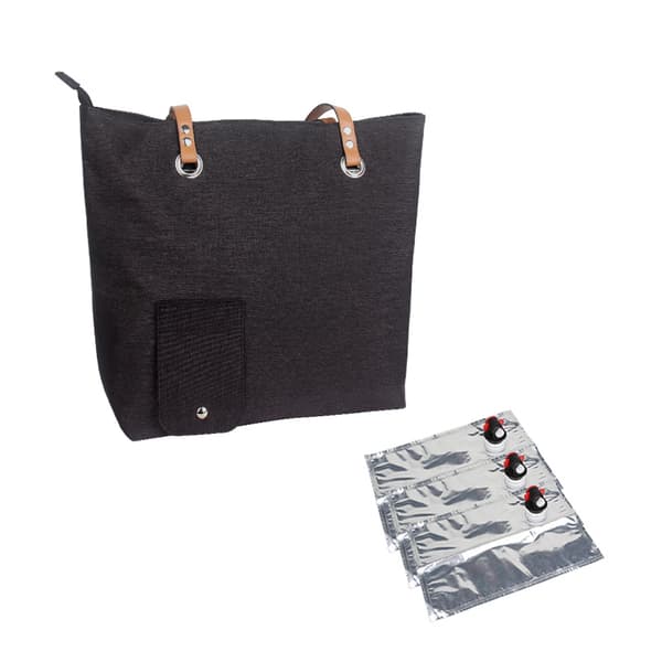 Isolert vinveske med kjøleelement, bærbar termisk kjølebag for strand og piknik 3PCS