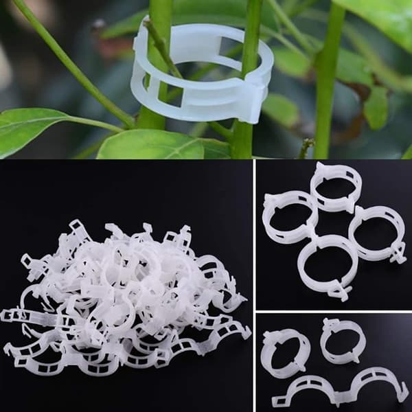 100 plante støtte clips Have klip -Transparent