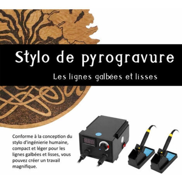 100W Elektrisk Tre Gourd Pyrografi Maskin Digital Display Graverer med 20T Varmepenner