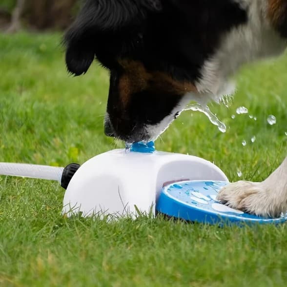 Ny automatisk vanddispenser til kæledyr udendørs med trin-på-funktion | Sommerfoder til hunde og katte