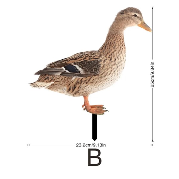 2D akryl anka dekoration, trädgård anka dekoration, anka fält konst trädgård insatser Realistisk anka trädgård staty figur B
