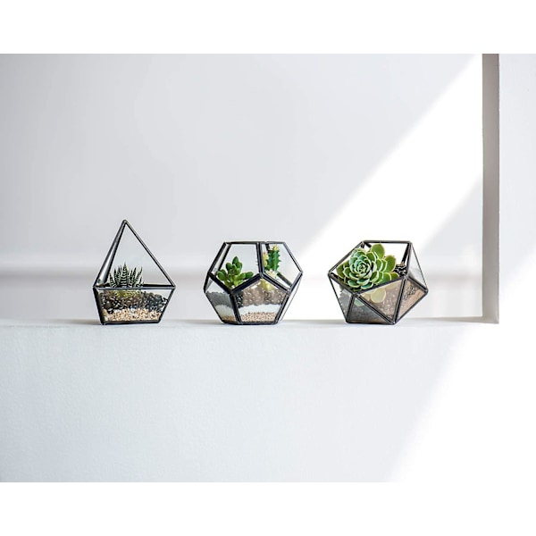 Kunstige sukkulenter i 3-pakning Mini glass geometrisk terrarium, miniatyr potteplanter falsk plante bokhylle skrivebord boho kontor rom dekor for kvinner jenter sovesal