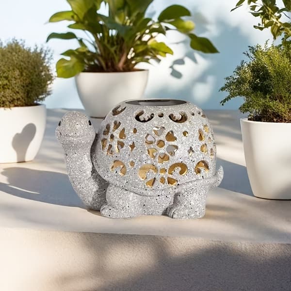 Soldrevet hul skildpadde White - Turtle