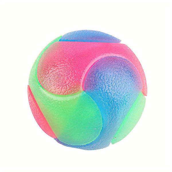 Hund Flash leksak boll husdjur leksak boll #1