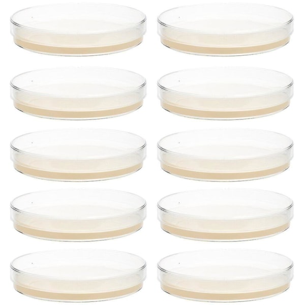 10 förhällda agarplattor petriskålar med agarvetenskapliga experimenttillbehör