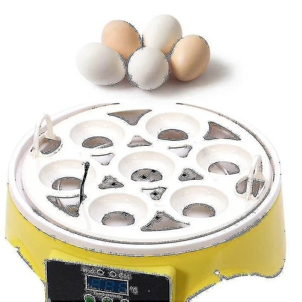 Automatisk fjærkre 7 stk egg inkubator temperaturkontroll fjærkre fugl kylling klekker Z -HG- Perfet