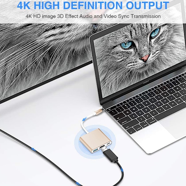 Tyyppi C -sovitin, USB 3.1 -keskitin (USB-C- ja Thunderbolt 3 -portti