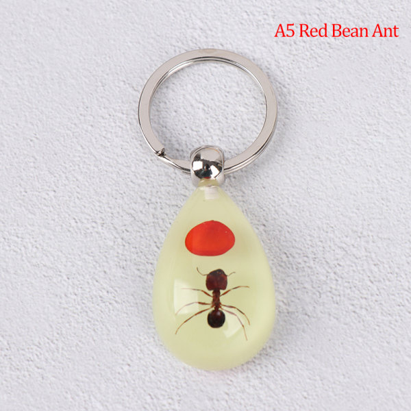 Köp lysande insekt nyckelring bärnsten scorpion myra nyckelring handväska  wal | Fyndiq