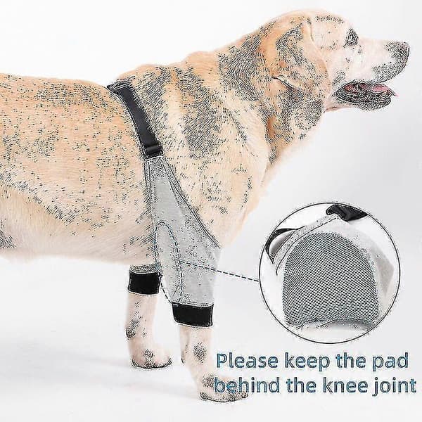 Dog Elbow Protector Adjustable Front Leg Sleeve Pet Surgery Injury Recovery Protective Support 1 Pair M M