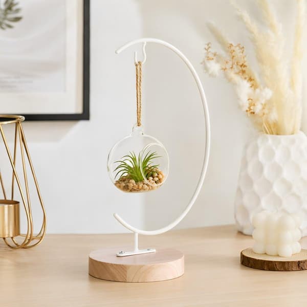 hvid ornamentstander af jern og træ til glaskugleterrarium -
