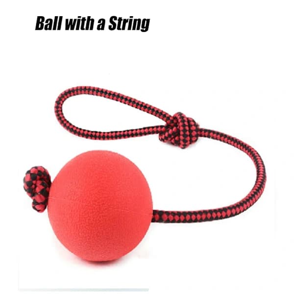 Hundeleke Slitesterk Solid Elastisk TPR Kjæledyrball Tyggleke Slitesterk Ball Med Snor Rød solid ball M 4.8 cm Rød solid ball M 4.8 cm Red solid ball M 4.8 cm