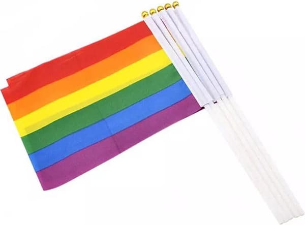 Regnbueflagg | Prideflagg | LHBTQ | Regnbuedekorasjon | 14 x 21 cm | Able & Borret