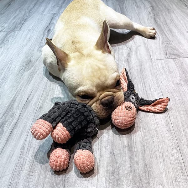 Bløde hundelegetøj til små og mellemstore hunde - Pibende plys hundelegetøj
