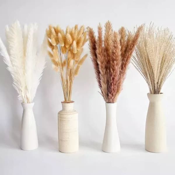 Natural Pampas Grass Dried, Fluffy and Wavy Dried Flowers B B