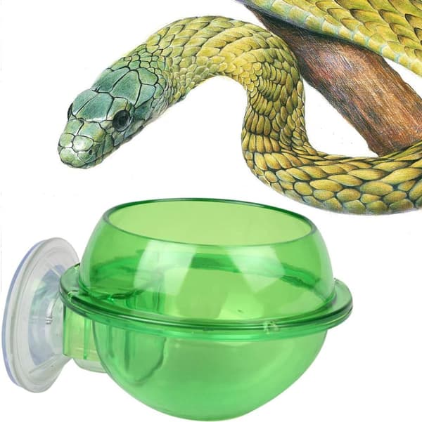2 STK. Sugekop Reptil Foderautomat Anti-Escape Reptil Madskål