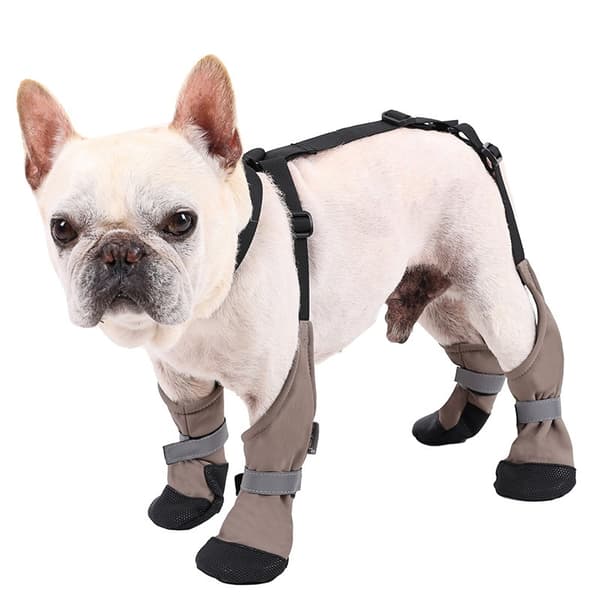 Anti-Drop & Warm Dog Boots: Protective Paw Wear for Large Breeds M M M