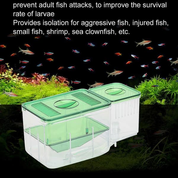 Double-Layer Aquarium Fish Breeding Box Isolation Incubator for Injured Small Fish Shrimp