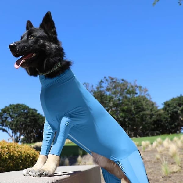 Bottom Dog Clothes for Medium and Large Dogs, Full Coverage Four-Legged Autumn and Winter Elastic