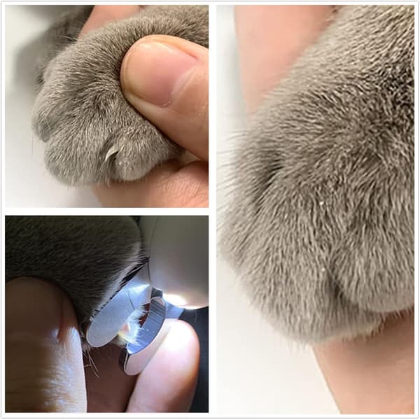 Klosaks og trimmer til hunde og katte, med LED-belysning for sikkerhed