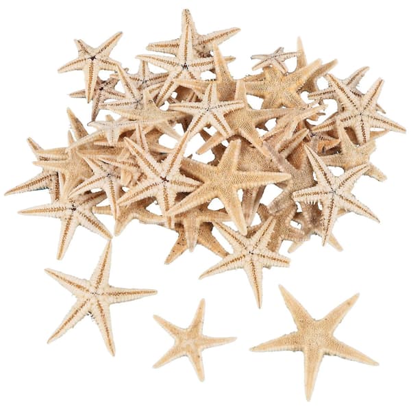 Small Starfish, Seashells, Beach Crafts, 0.4 inch-1.2 inch, 90 pcs