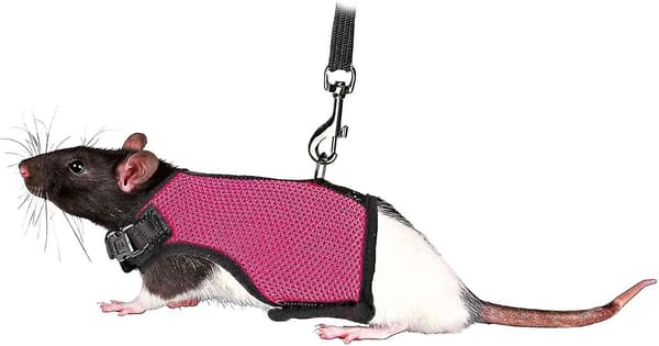 Small Animal Harness for Rats Nylon 1pc (Rose Red)