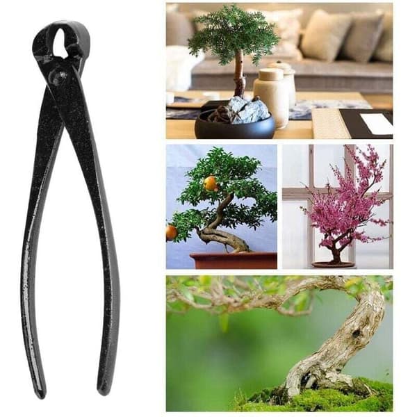 Bonsai Tree Pruning Shears - Garden Scissors with Rounded Tip for Trimming, Compatible with Bonsai Tools, 1 Piece