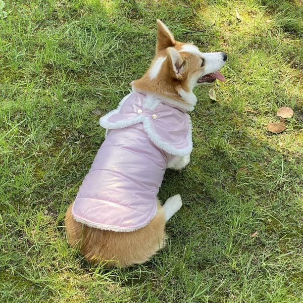 #Waterproof Winter Dog Jacket Warm Dog Jacket Windproof#