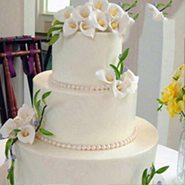 7-in-1 Calla Lily Flower Cake Decoration Fondant Molds Tools