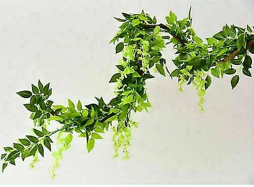 2x7ft Artificial Wisteria Vine Plant Foliage Trailing (Green)