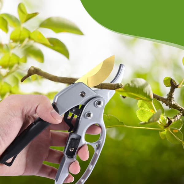 Professional, lightweight and practical manual secateurs for thick branches. Length: 20 cm / Width: 8 cm